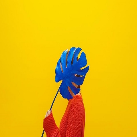 تصاویر نمونه کار ها