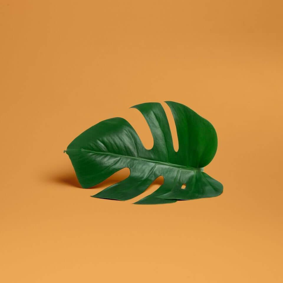 تصاویر نمونه کار ها