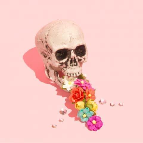 تصاویر نمونه کار ها