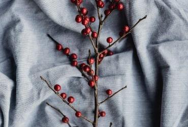 قالب چند منظوره