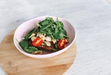 قالب چند منظوره