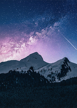 Bougainvilleas on Lombard Street,  San Francisco, Tokyo