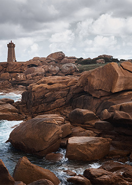 Bougainvilleas on Lombard Street,  San Francisco, Tokyo